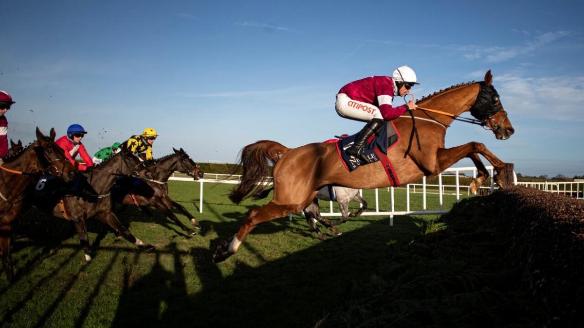 Run Wild Fred Troytown Navan